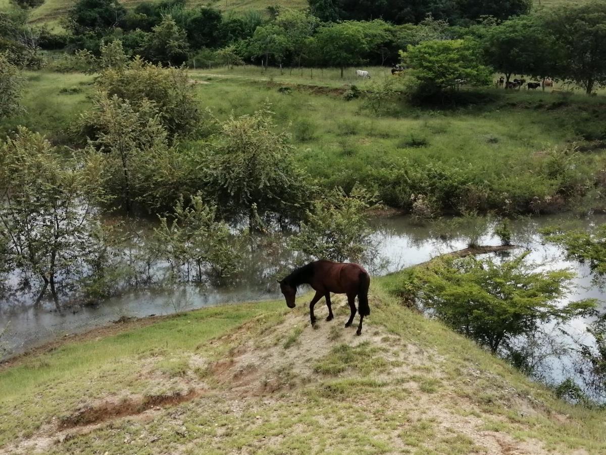 Finca Ecoturistica Los Jagueyes Baraya Dış mekan fotoğraf