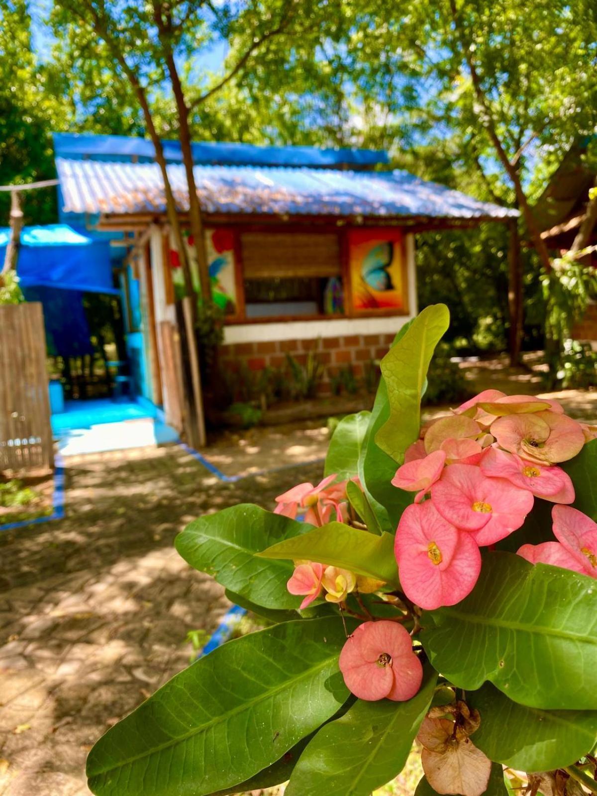 Finca Ecoturistica Los Jagueyes Baraya Dış mekan fotoğraf
